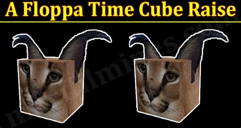 Time cube raise a floppa - So, let’s discuss more that Raise A Floppa How To Get Time Cube. What is Raise a Floppa Game? The raise a Floppa Game has become popular in only a few days, and the number of players in the Game is increasing each day. According to the calculations, there are 71,000 Raise Floppa Game players.